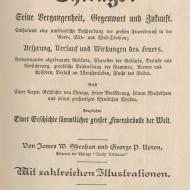 Title Page of Sheahan and Upton, Der Grosser Brand, 1872 (ichi-63825) Title Page of Sheahan and Upton, Der Grosser Brand, 1872 (ichi-63825)