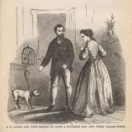 J.N. Janes and Wife Trying to Save a Favorite Dog and their Canary Birds; from Frank Luzerne, The Lost City!, 1872 (ichi-63831) J.N. Janes and Wife Trying to Save a Favorite Dog and their Canary Birds; from Frank Luzerne, The Lost City!, 1872 (ichi-63831)