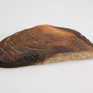 Wood Fragment from O'Leary Barn (ichi-64489) Wood Fragment from O'Leary Barn (ichi-64489)