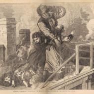 A Family Terribly Perish on the Roof of a House, in View of the Multitude Below; from E. J. Goodspeed, The Great Fires in Chicago and the West, 1871 (ichi-35085)
